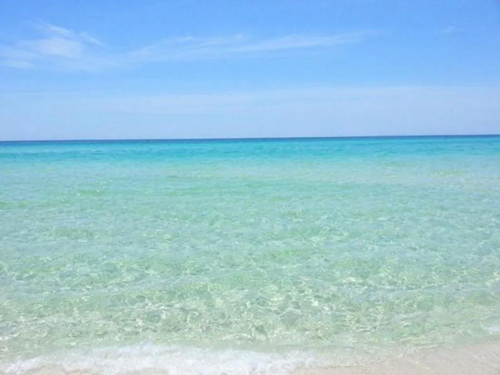 1202 East Calypso Gulf Front 3Bedroom 2 Bath Panama City Beach Apartment